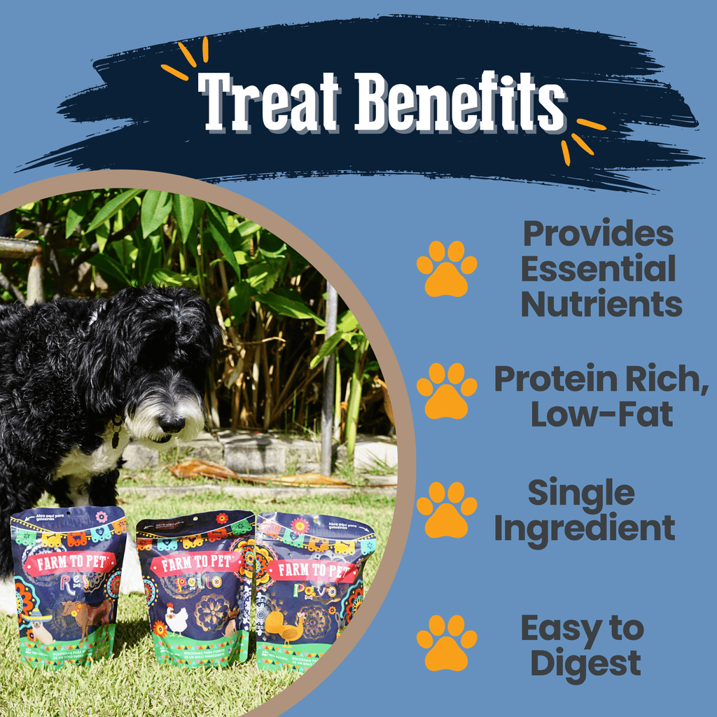 Friandises pour chiens Fiesta Pack | Lot de friandises variées pour chiens