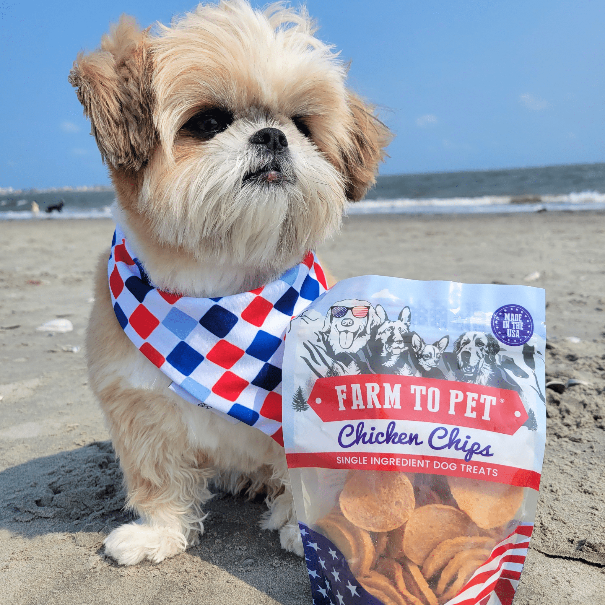 Frites de Poulet Americana pour Chiens | Célébrez avec des Friandises pour Chiens Fabriquées aux USA
