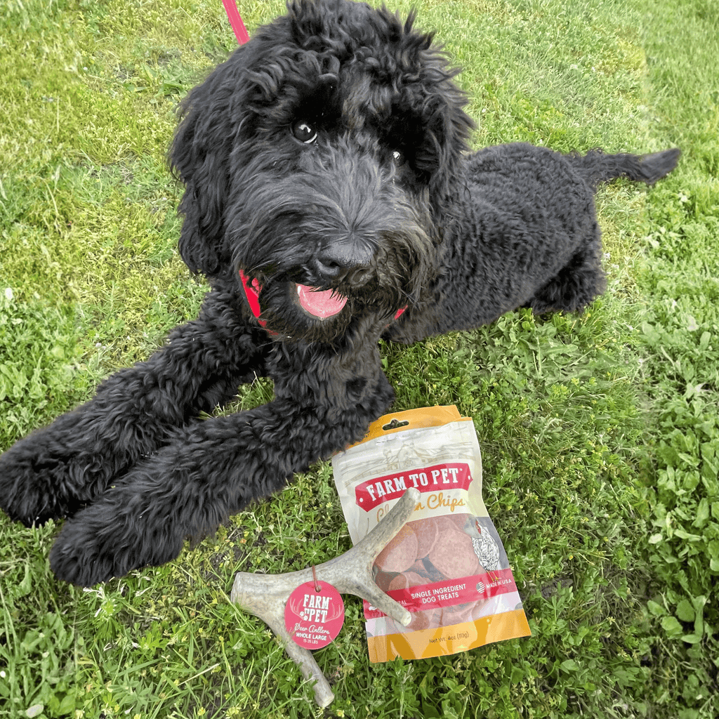 Bois de cerf à mâcher pour chien | Friandises à mâcher biologiques pour chiens