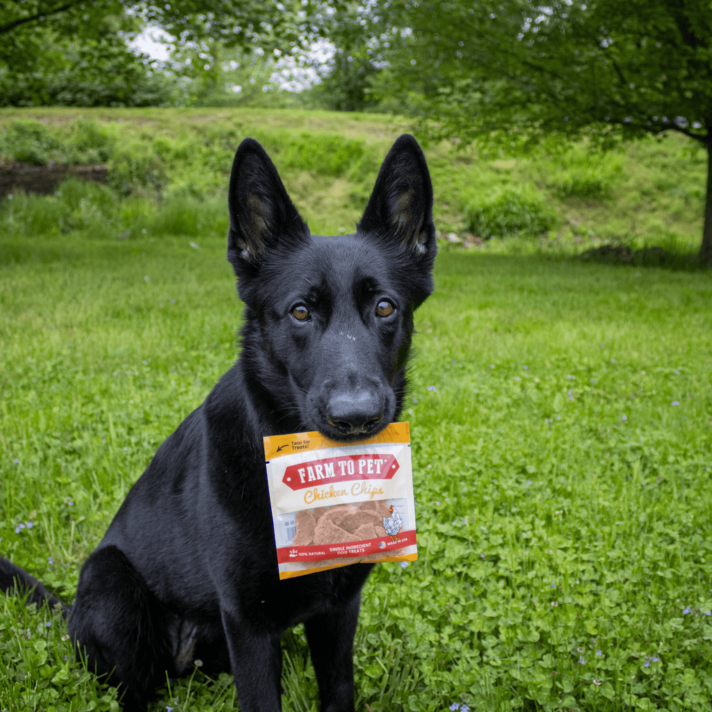 Paquets de friandises au poulet | Cadeaux de fête pour chiens et friandises d'entraînement