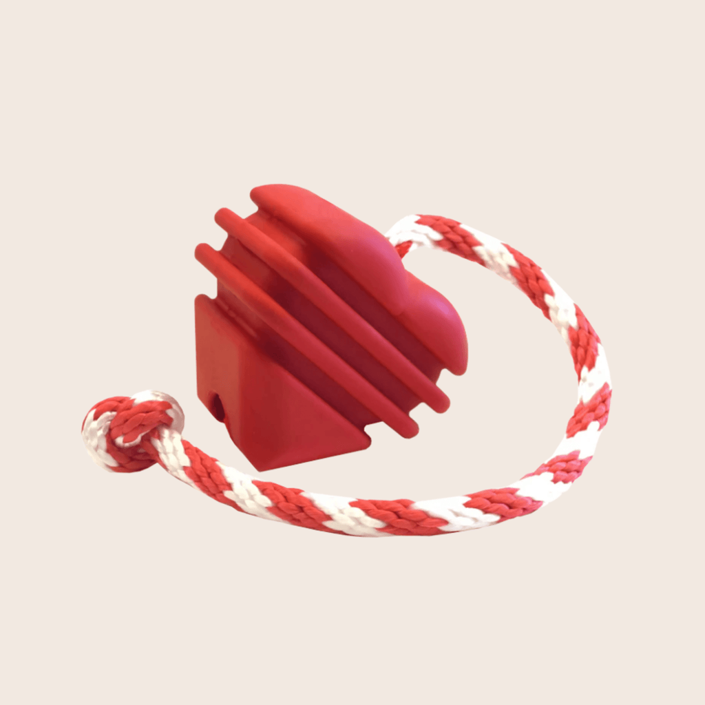 Jouets à mâcher