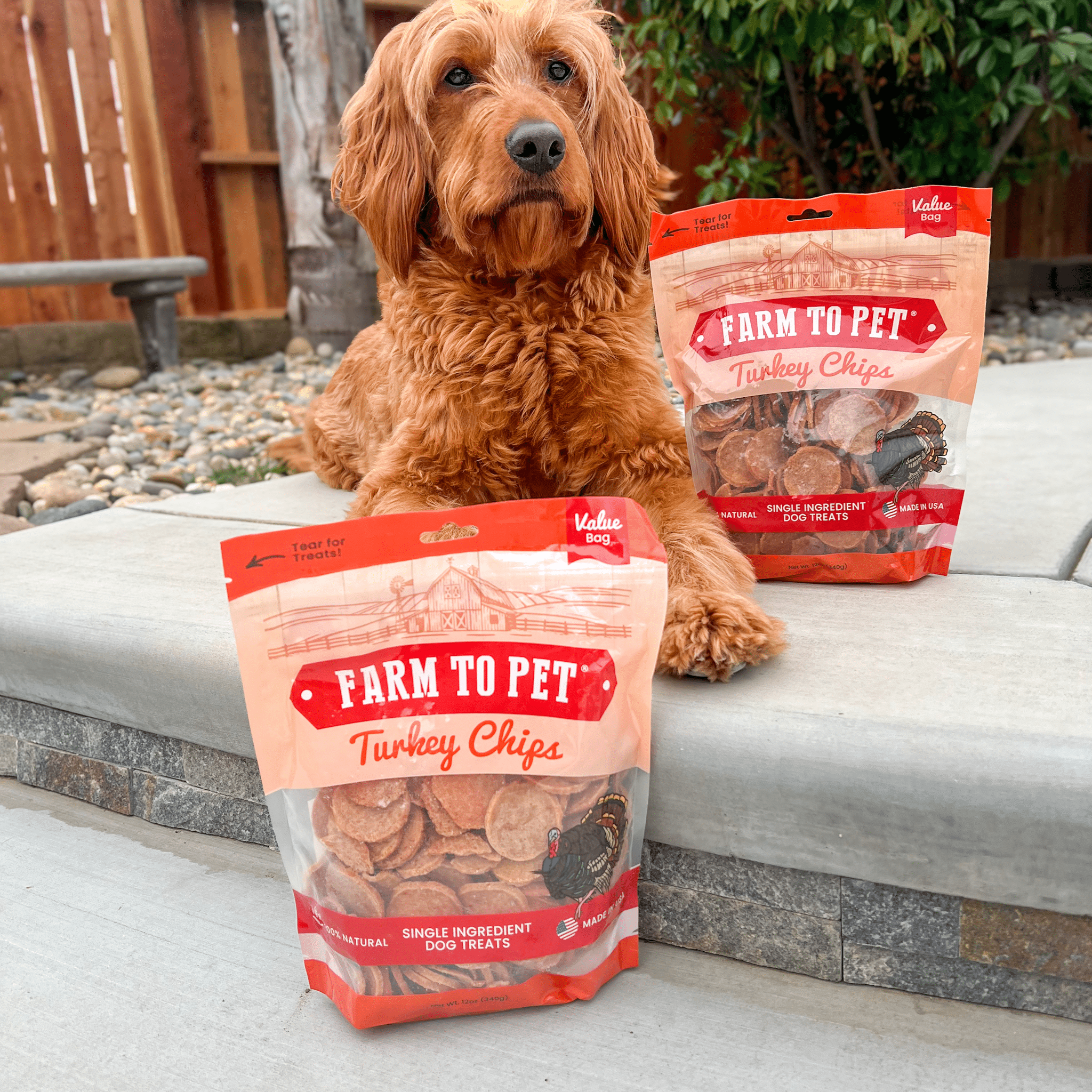 Frites de dinde pour chiens | Friandises saines et entièrement naturelles pour chiens à ingrédient unique