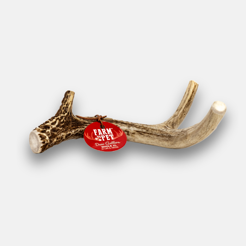 Bois de cerf à mâcher pour chien | Friandises à mâcher biologiques pour chiens