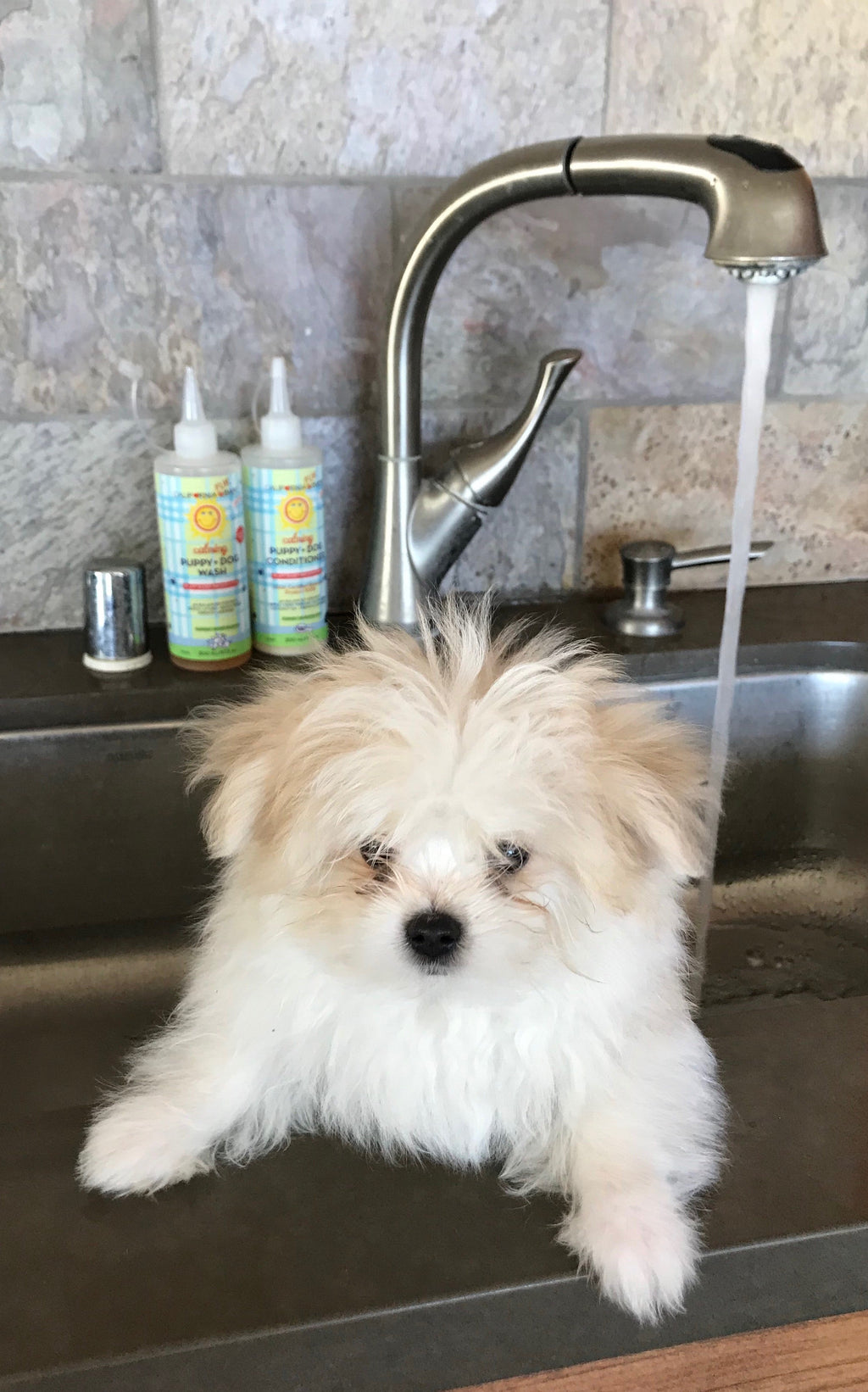 Revitalisant Apaisant pour Chiot + Chien™