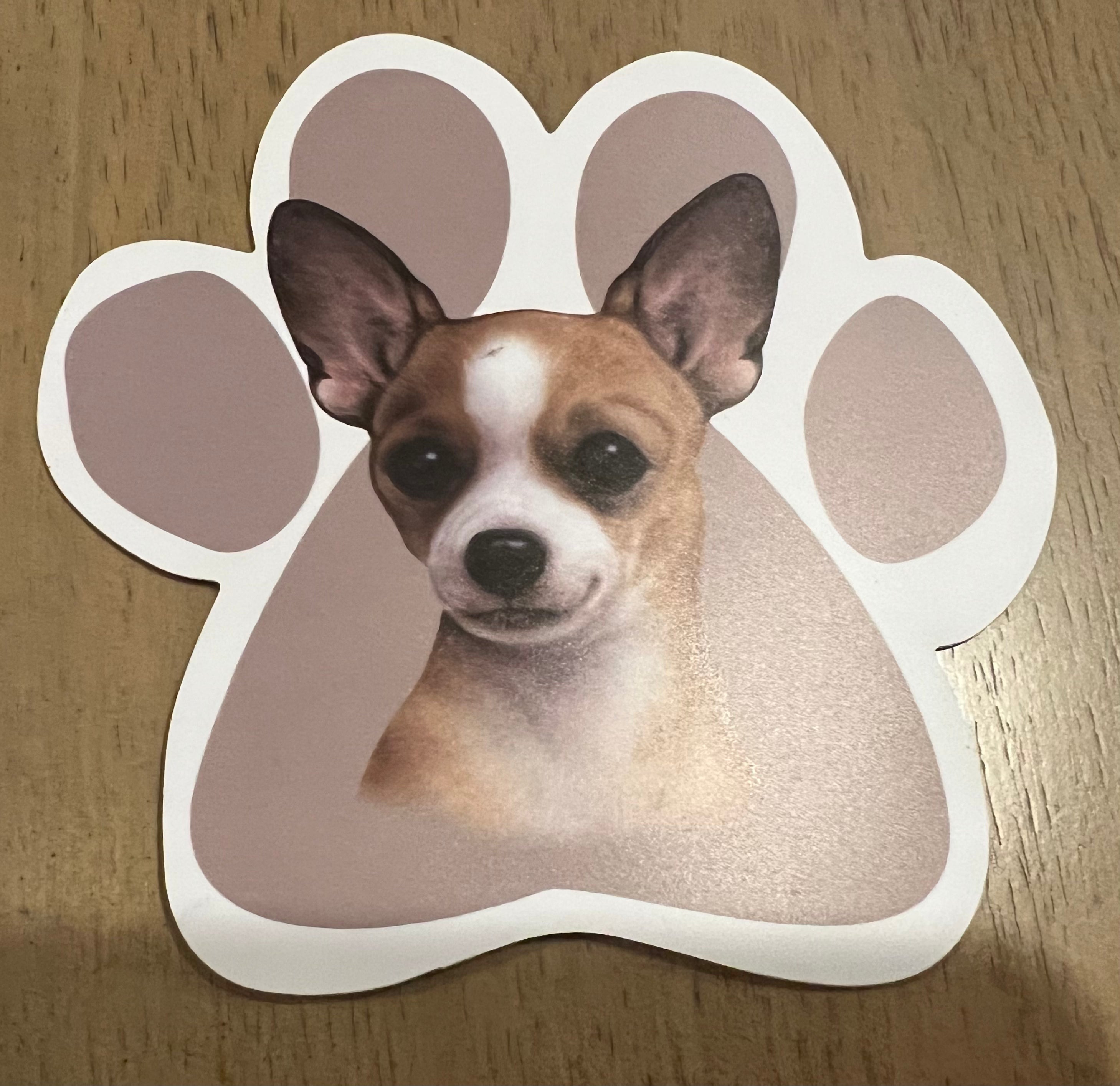 Chihuahua, aimant de voiture en forme de patte, couleur havane