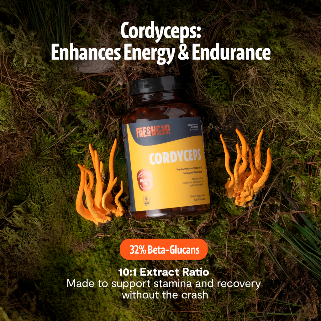 Gélules de Cordyceps Biologique