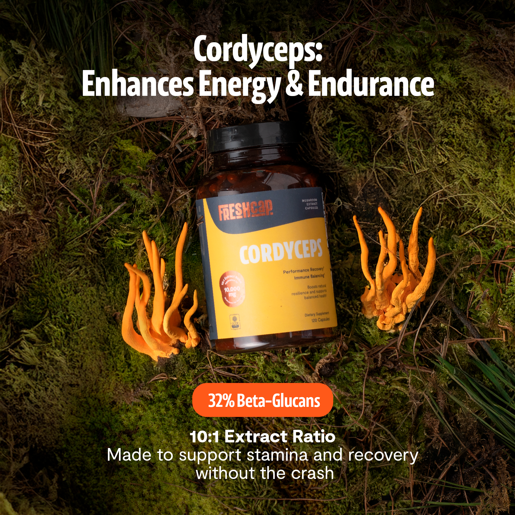 Gélules de Cordyceps Biologique