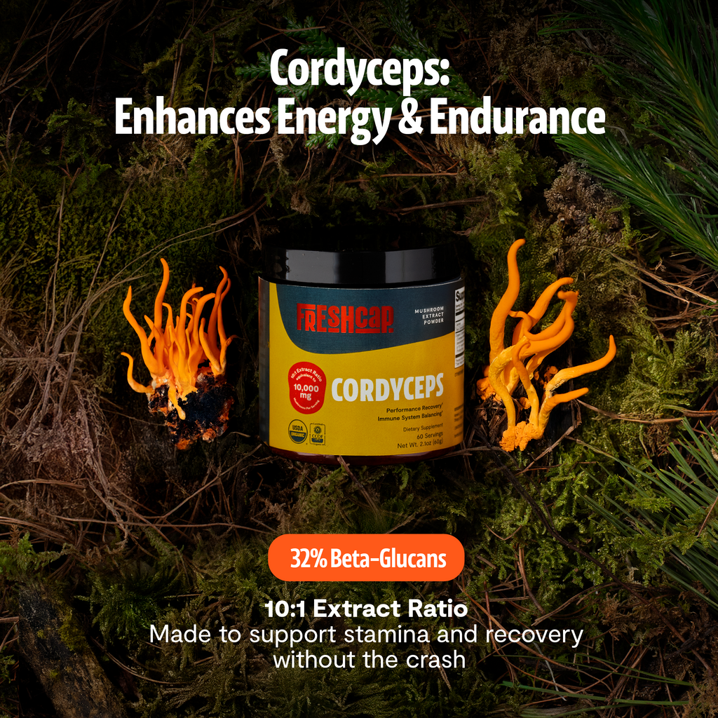 Poudre d'extrait de champignon Cordyceps