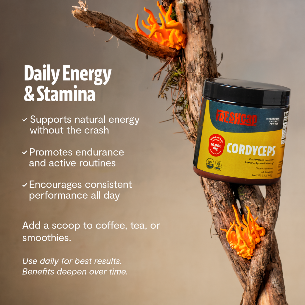 Poudre d'extrait de champignon Cordyceps