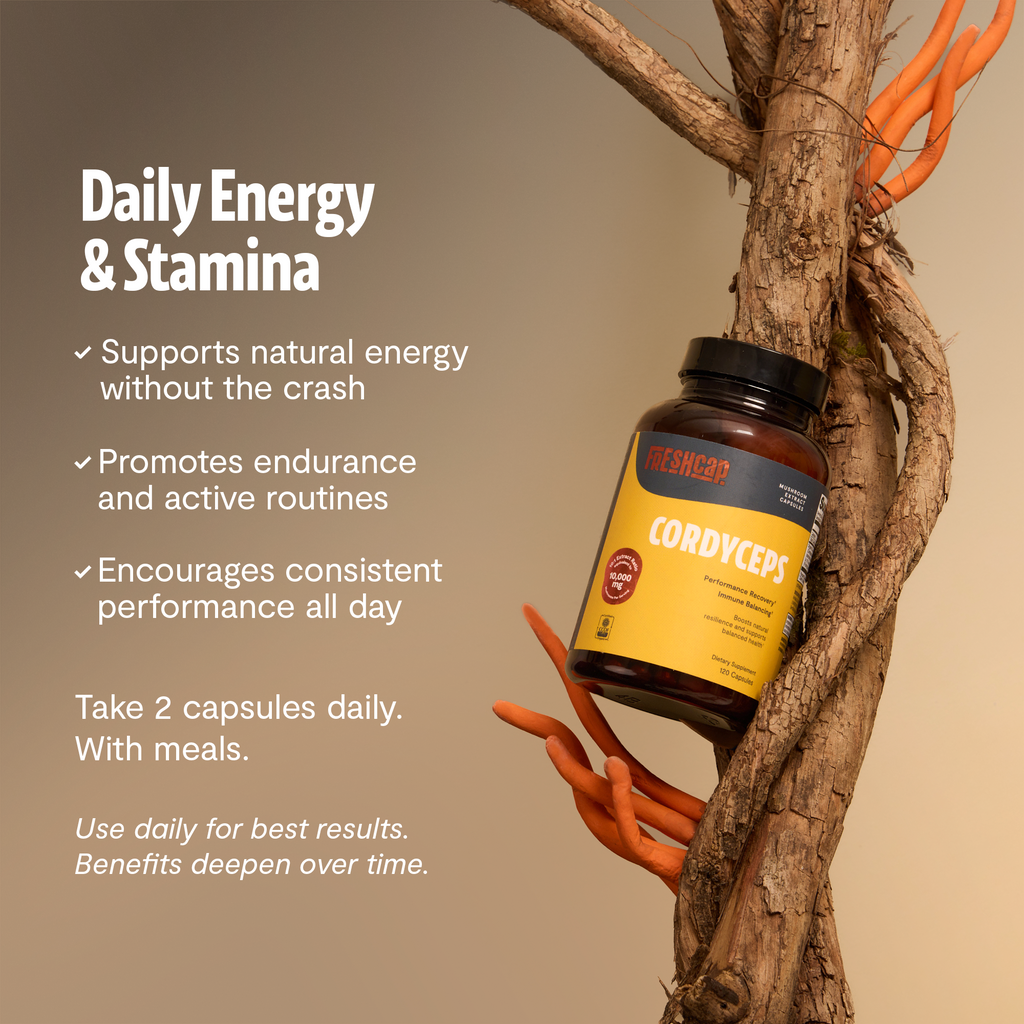 Gélules de Cordyceps Biologique