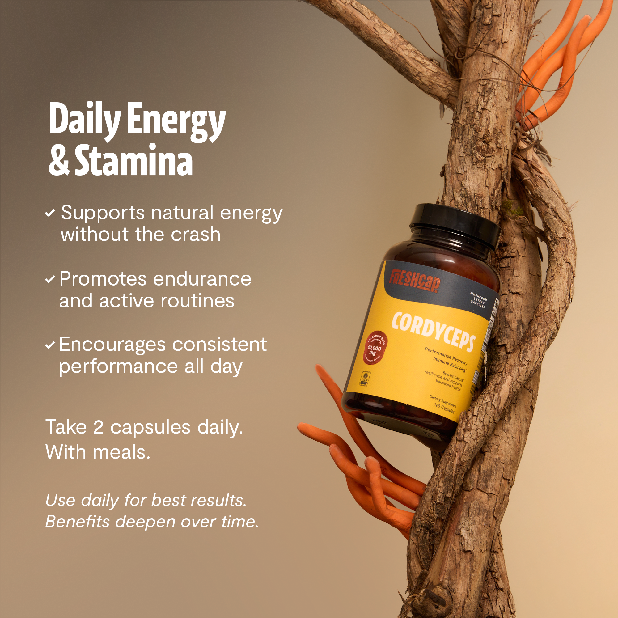 Gélules de Cordyceps Biologique