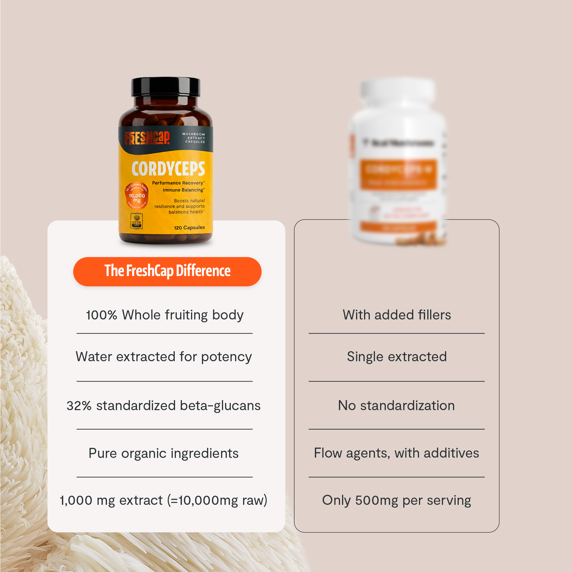 Gélules de Cordyceps Biologique