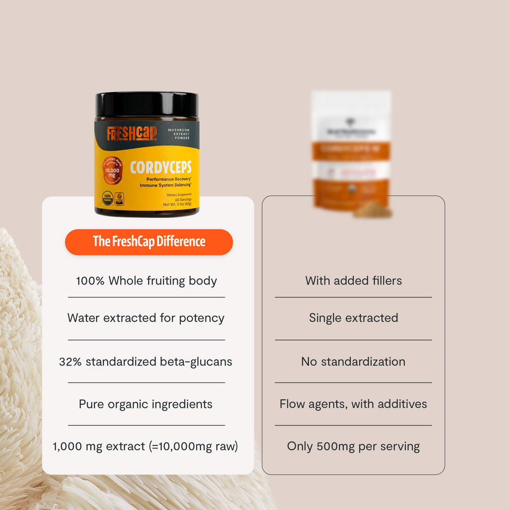 Poudre d'extrait de champignon Cordyceps