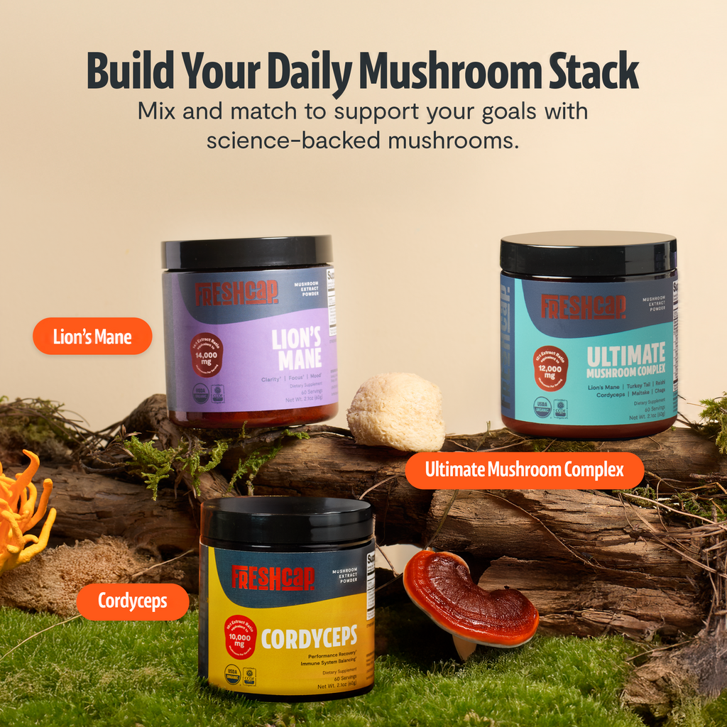 Poudre d'extrait de champignon Cordyceps