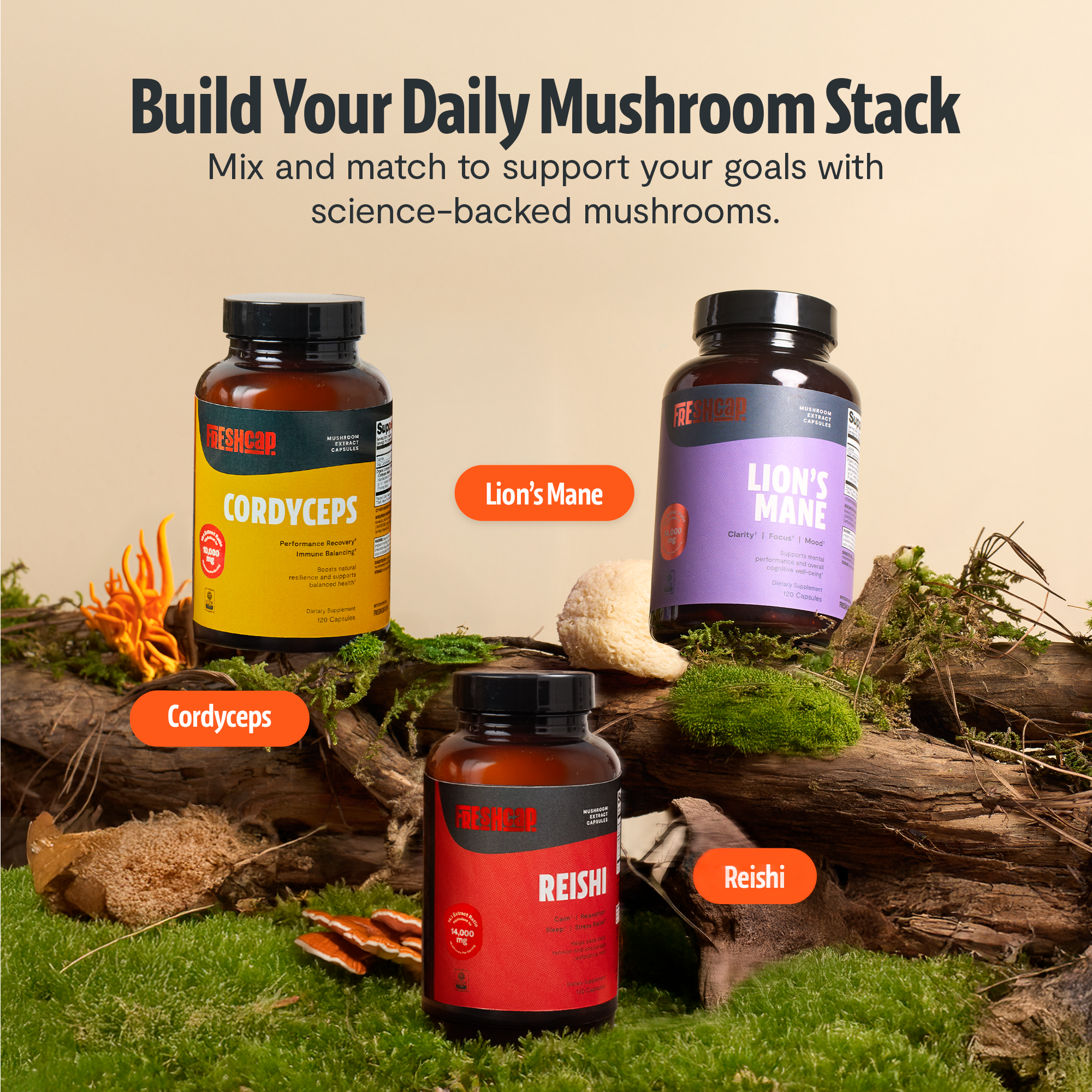 Gélules de Cordyceps Biologique