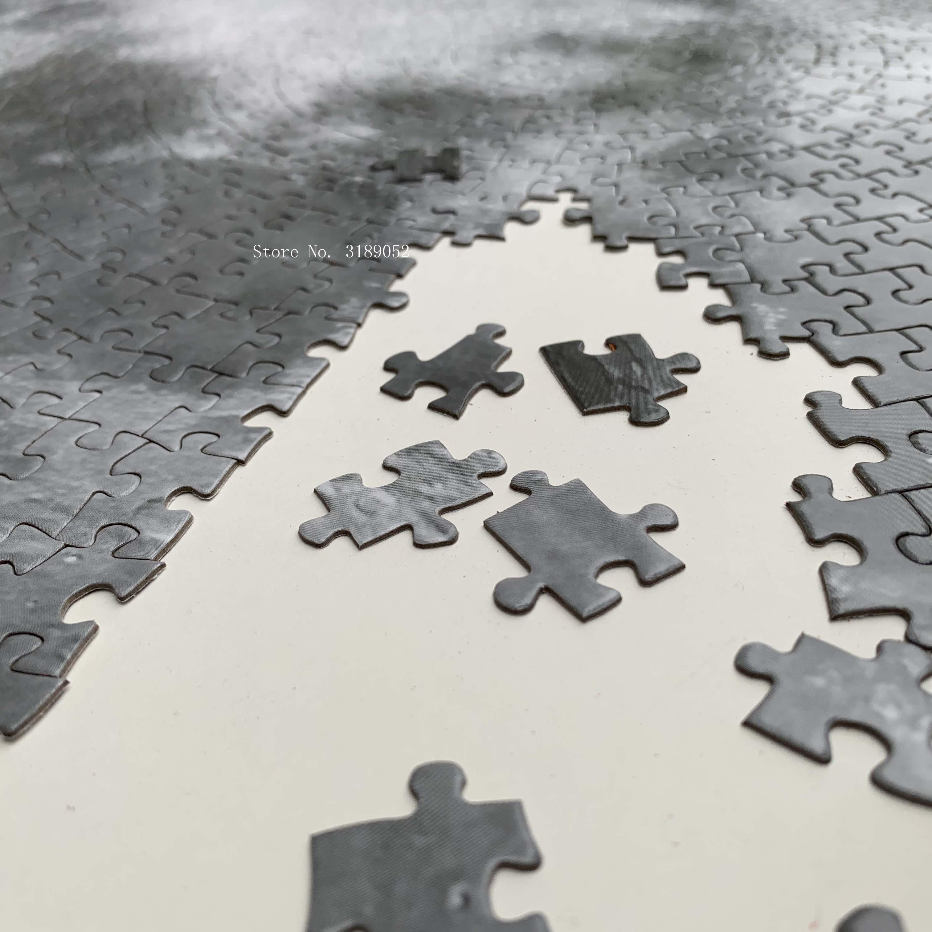 1000 PIÈCES/ENSEMBLE Puzzle rond coloré Arc-en-ciel géométrique photo planète Jouet éducatif pour adultes et enfants