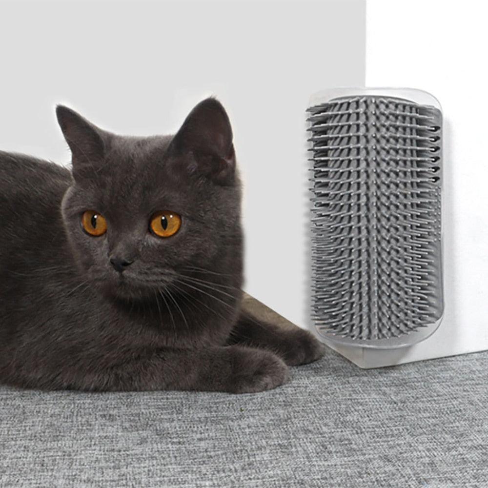 Masseur pour chats Produits pour animaux de compagnie Brosse pour enlever les poils Peigne de toilettage Table de toilettage Chiens Soins Accessoires Bandes souples Brosses de massage pour chats Grattoir mural pour chatons