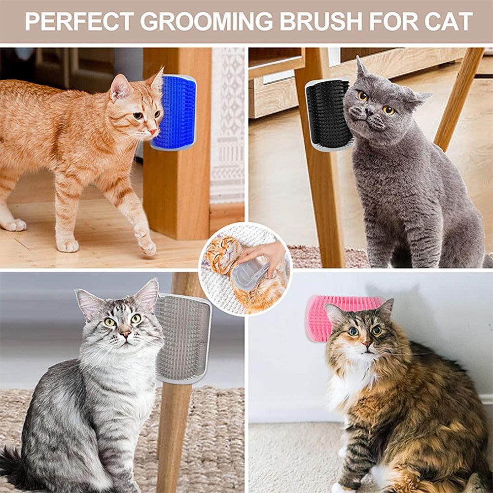 Masseur pour chats Produits pour animaux de compagnie Brosse pour enlever les poils Peigne de toilettage Table de toilettage Chiens Soins Accessoires Bandes souples Brosses de massage pour chats Grattoir mural pour chatons