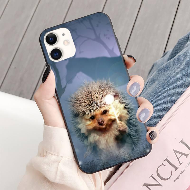Coque de téléphone Hérisson Lumineux dans le Brouillard pour iPhone 13 8 7 6 6s Plus X 5s SE 2020 XR 11 12 Mini Pro Xs Max Protection d'écran Souple Flexible en Silicone Gel Caoutchouc Bumper