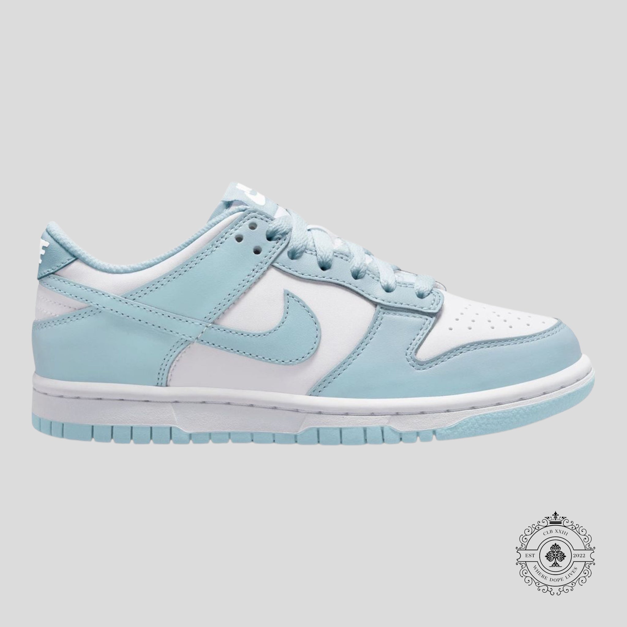 Nike Dunk Low GS Blanc Bleu Glacier