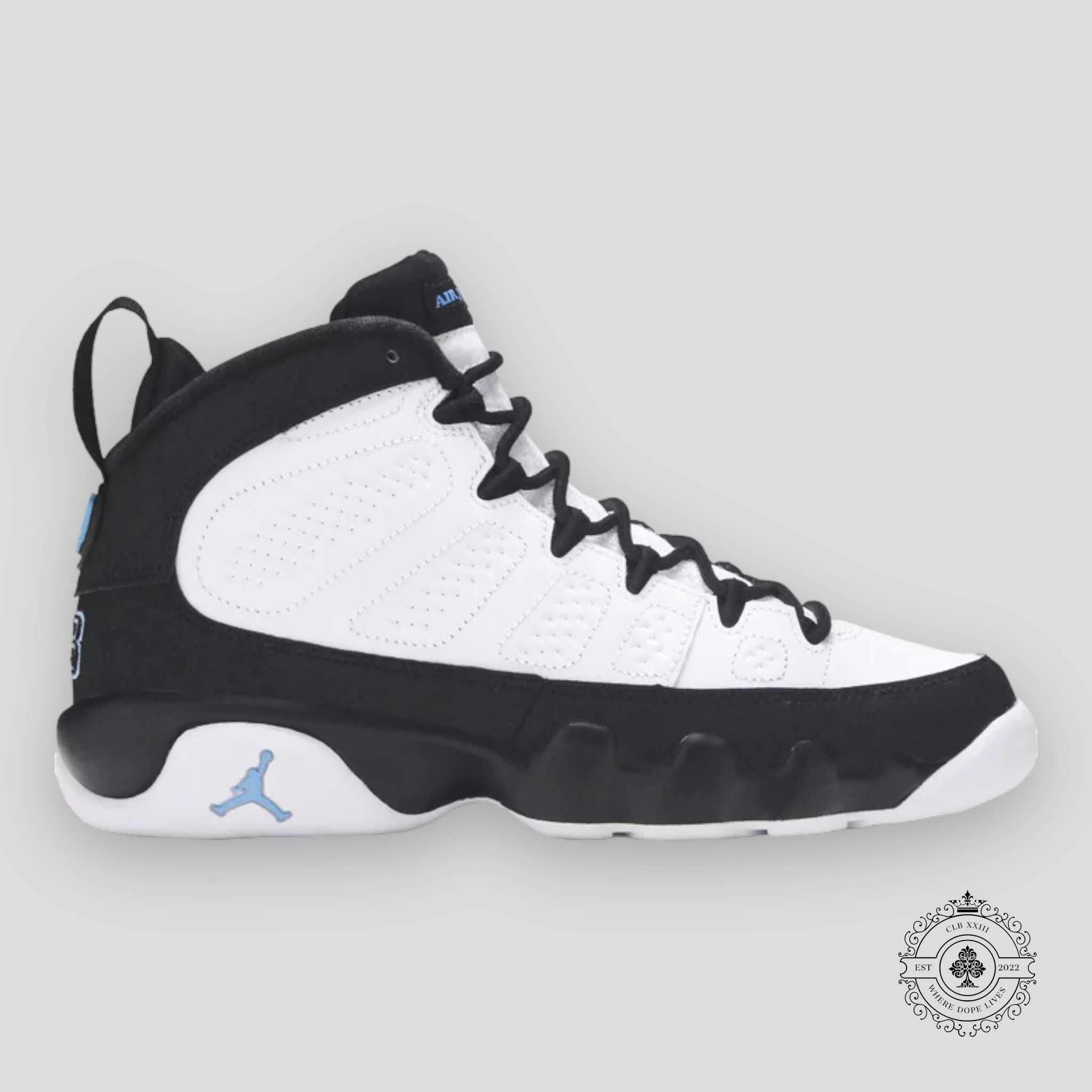 Air Jordan 9 Rétro University Blue
