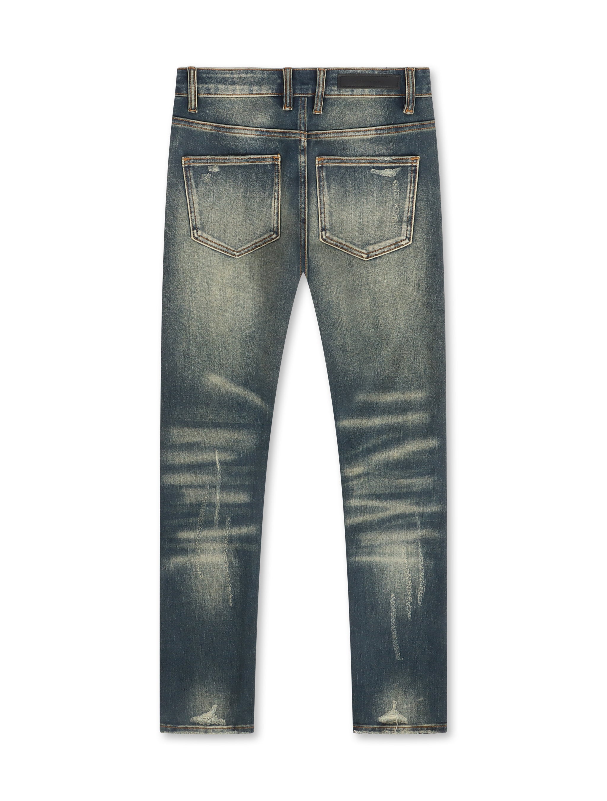 Jean skinny Embellish Cactus - Délavage vintage
