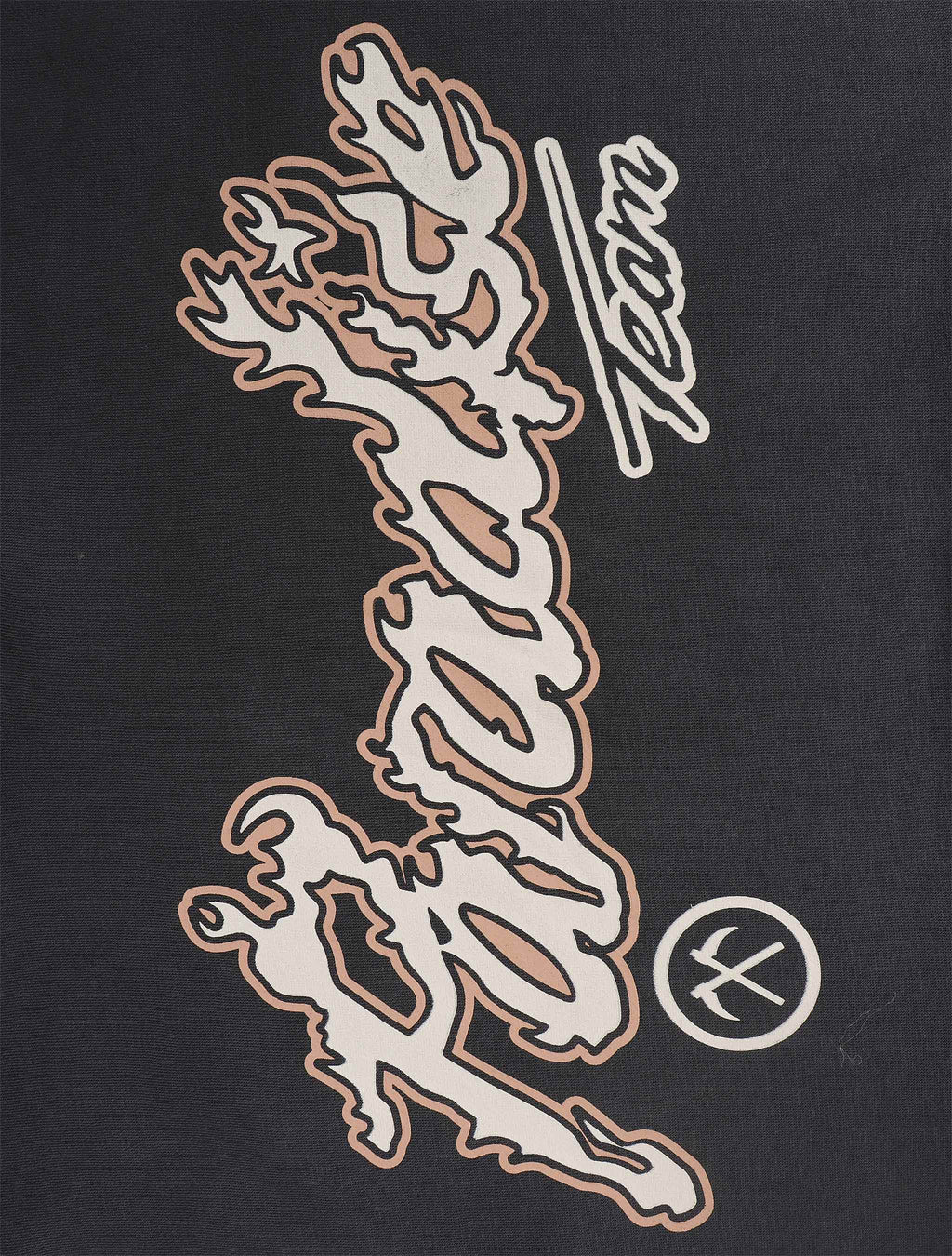 Sweat à capuche Jordan Craig Paradise Tour en molleton - Anthracite