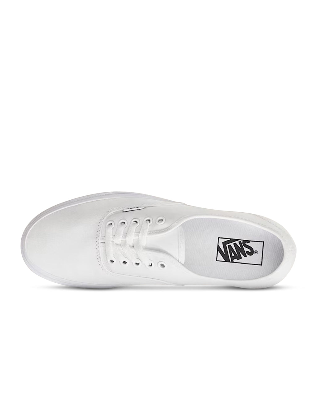 Vans Homme Authentic - Blanc authentique