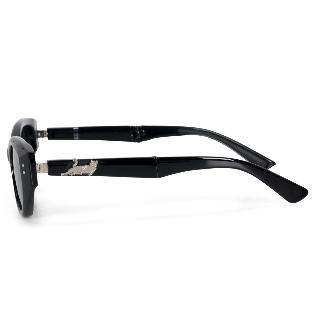 Castanza Folding Sunglasses (Black)