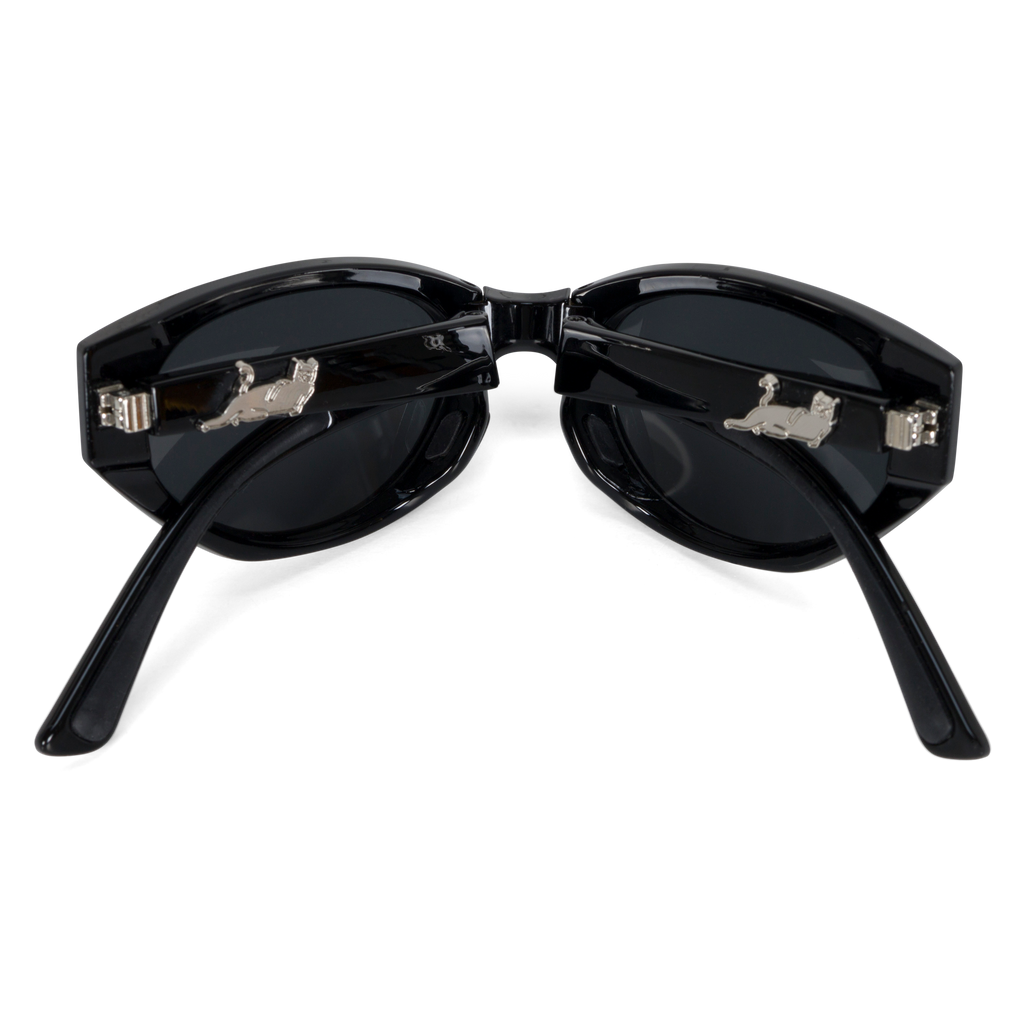 Castanza Folding Sunglasses (Black)