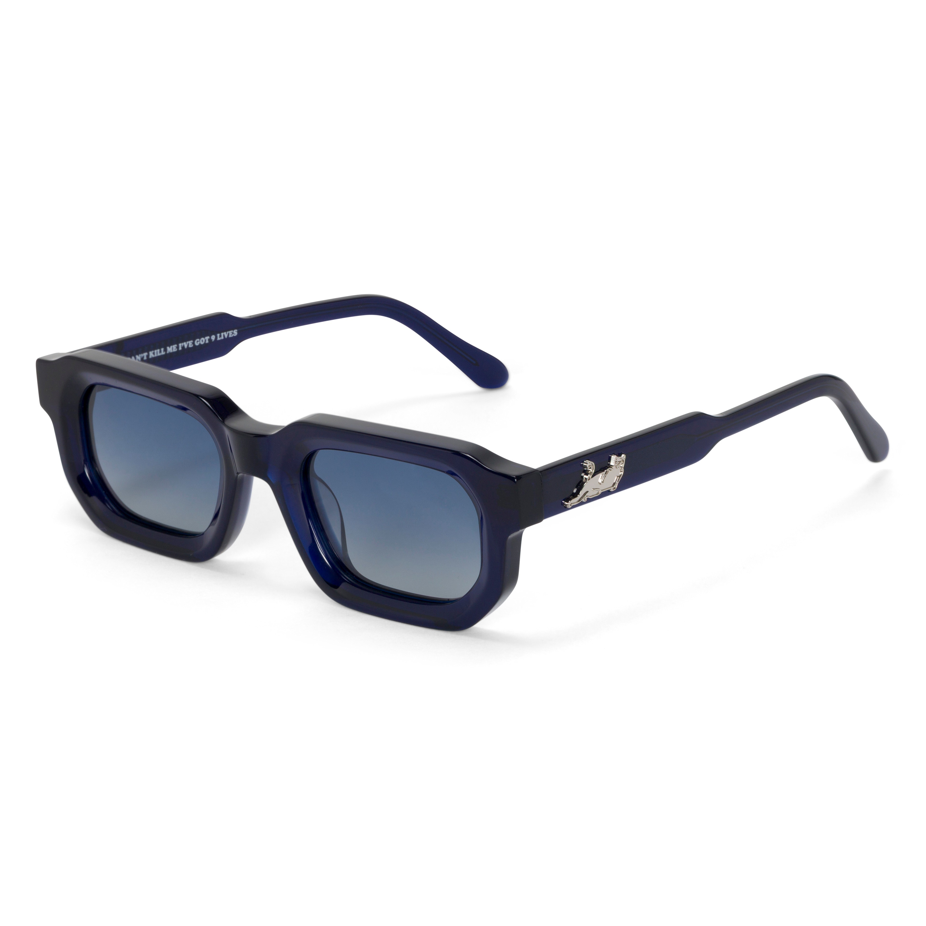 Castanza Sunglasses (Navy / Light Blue)