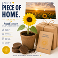 Kit de culture de tournesols du Kansas