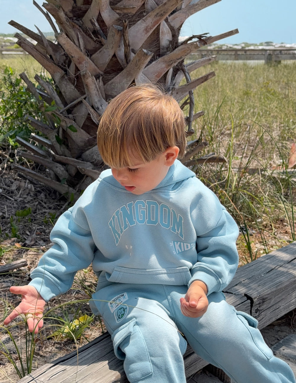 Sweat à capuche Kingdom Kids