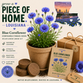 Kit de culture de bleuet de Louisiane