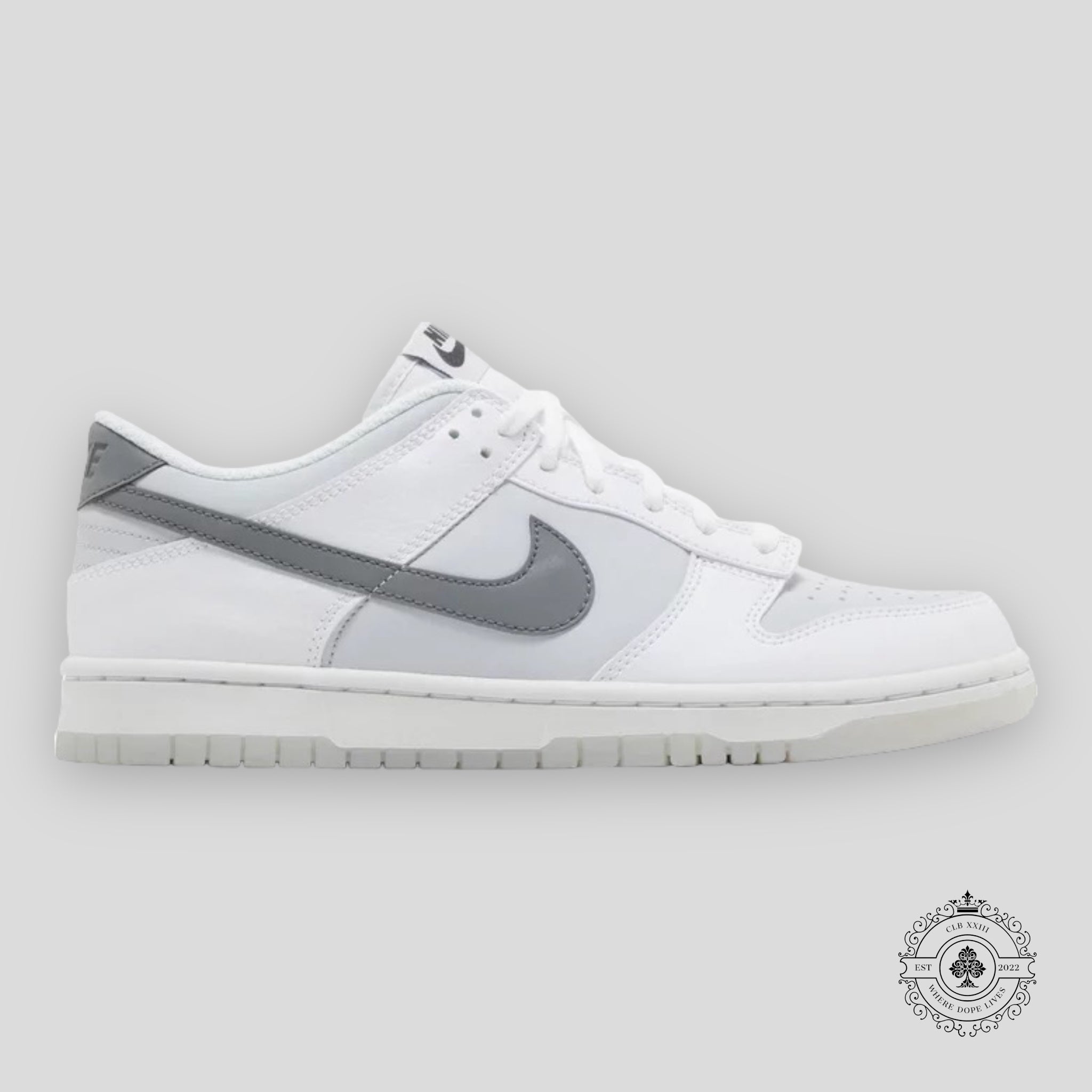 NIKE DUNK LOW GS « SWOOSH RÉFLÉCHISSANT »