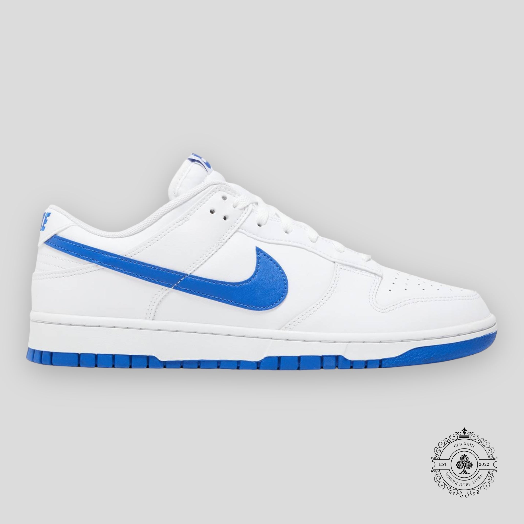 Nike Dunk Low « Photo Blue »