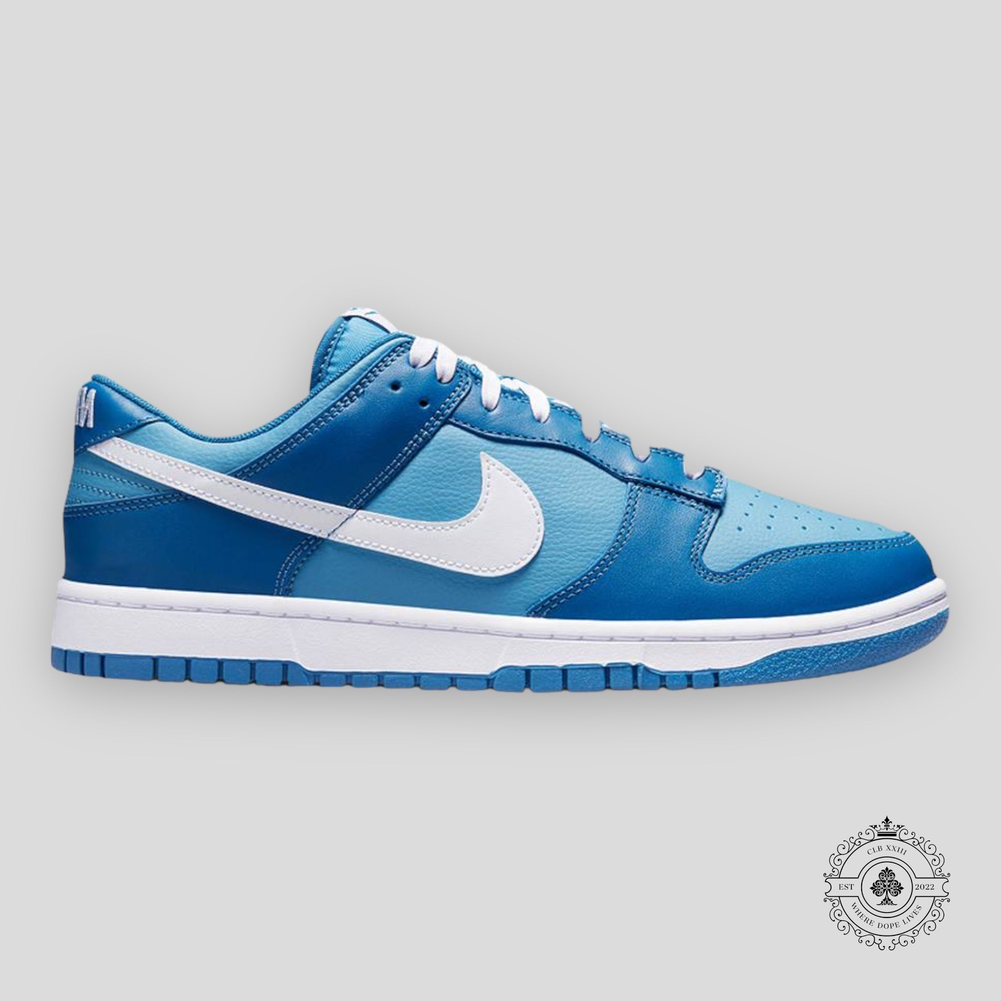 Nike Dunk Low GS « Dark Marina Blue »