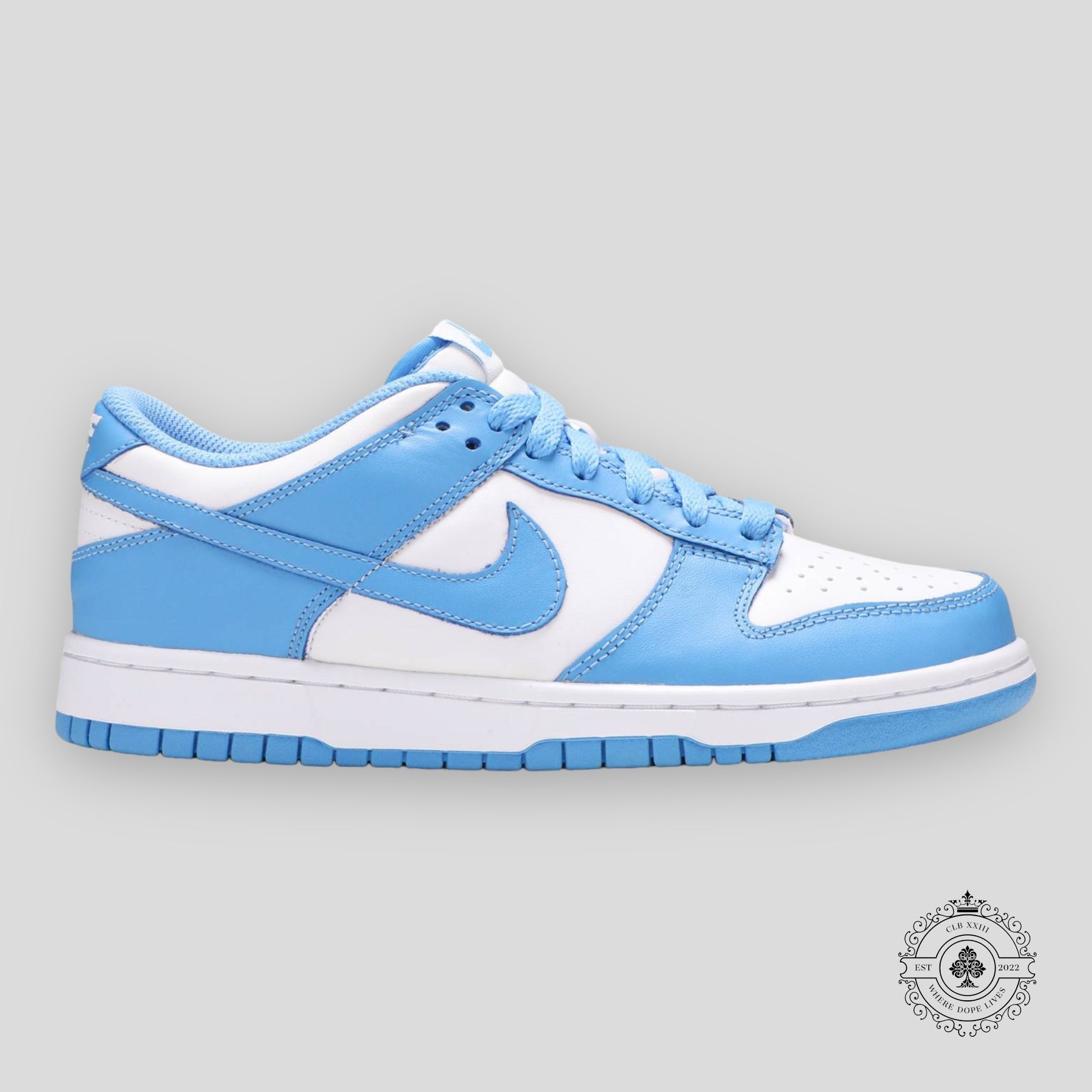Nike Dunk Low GS « UNC »