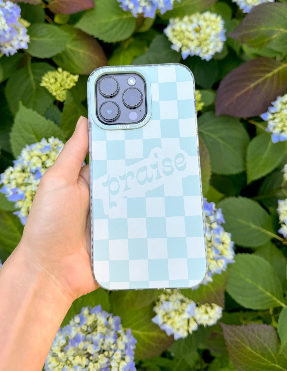 Coque Louange