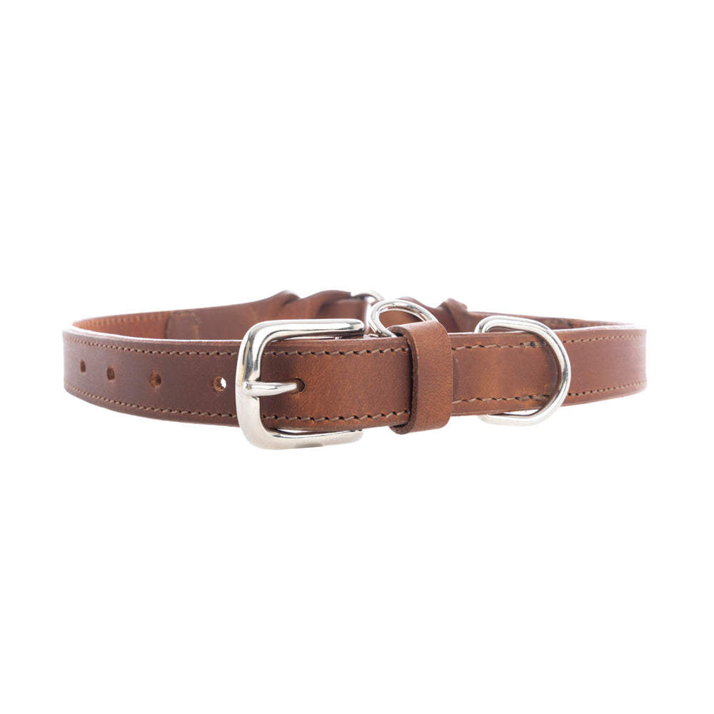 Collier pour chien Topside couleur Chocolat
