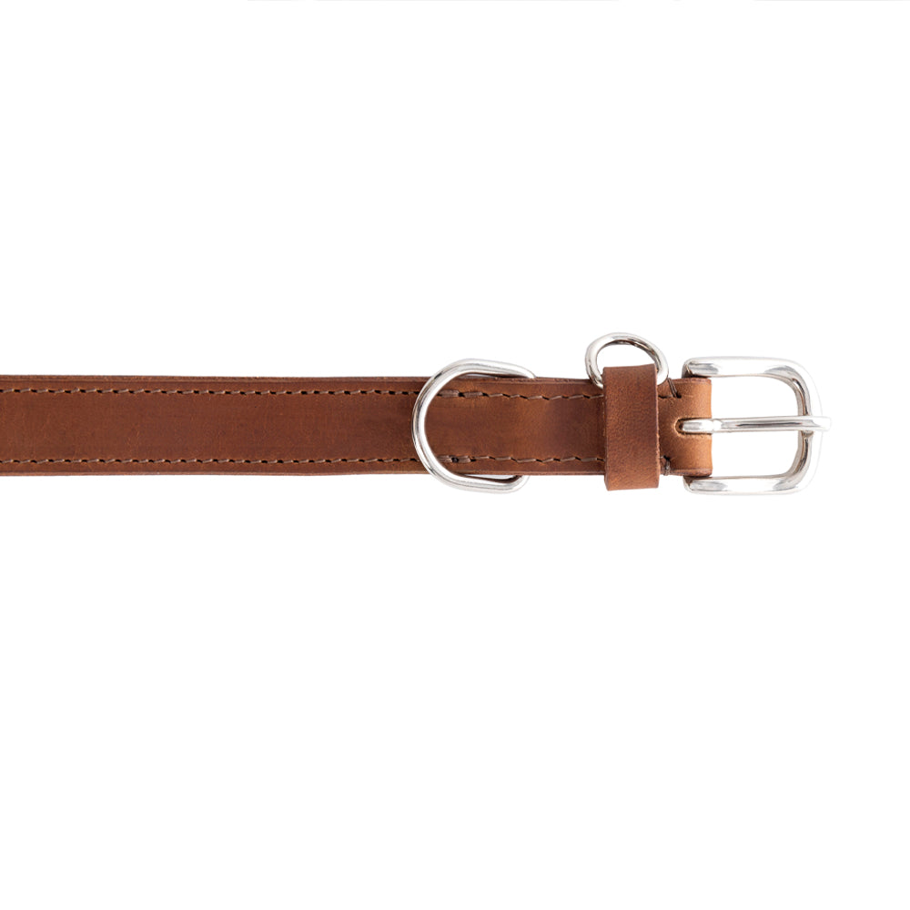 Collier pour chien Topside couleur Chocolat