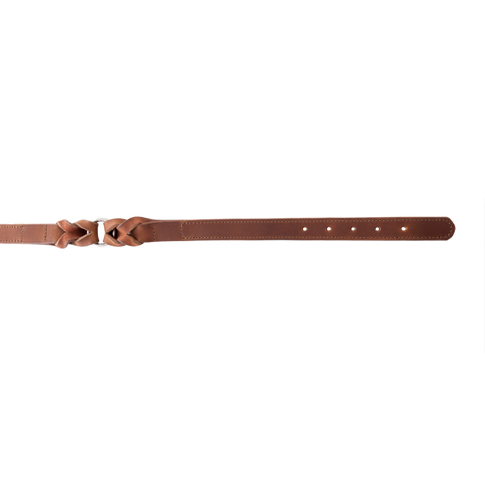Collier pour chien Topside couleur Chocolat