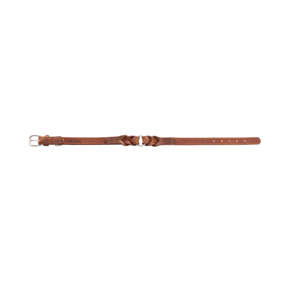 Collier pour chien Topside couleur Chocolat