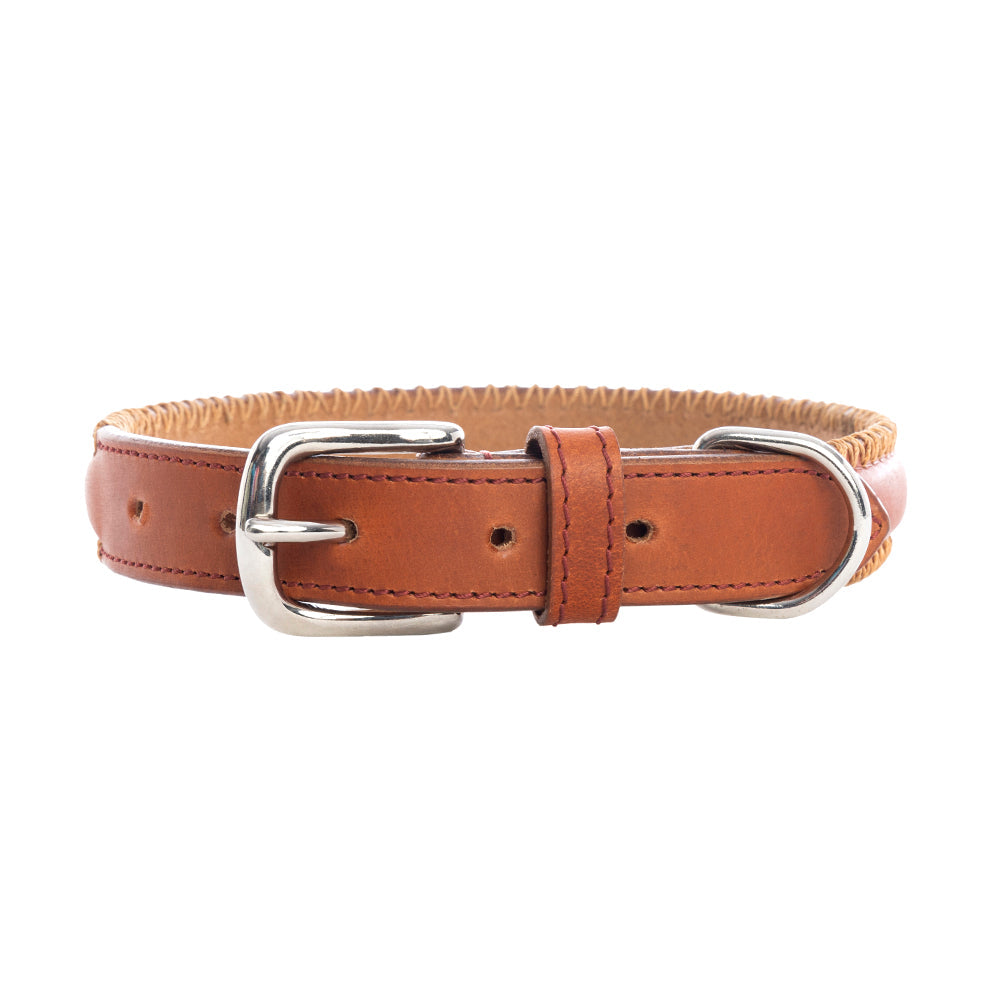 Collier pour chien Rio Correr couleur Caramel