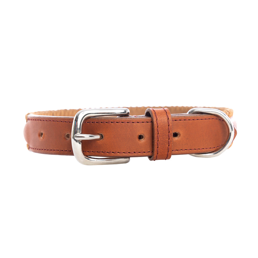 Collier pour chien Rio Correr couleur Caramel