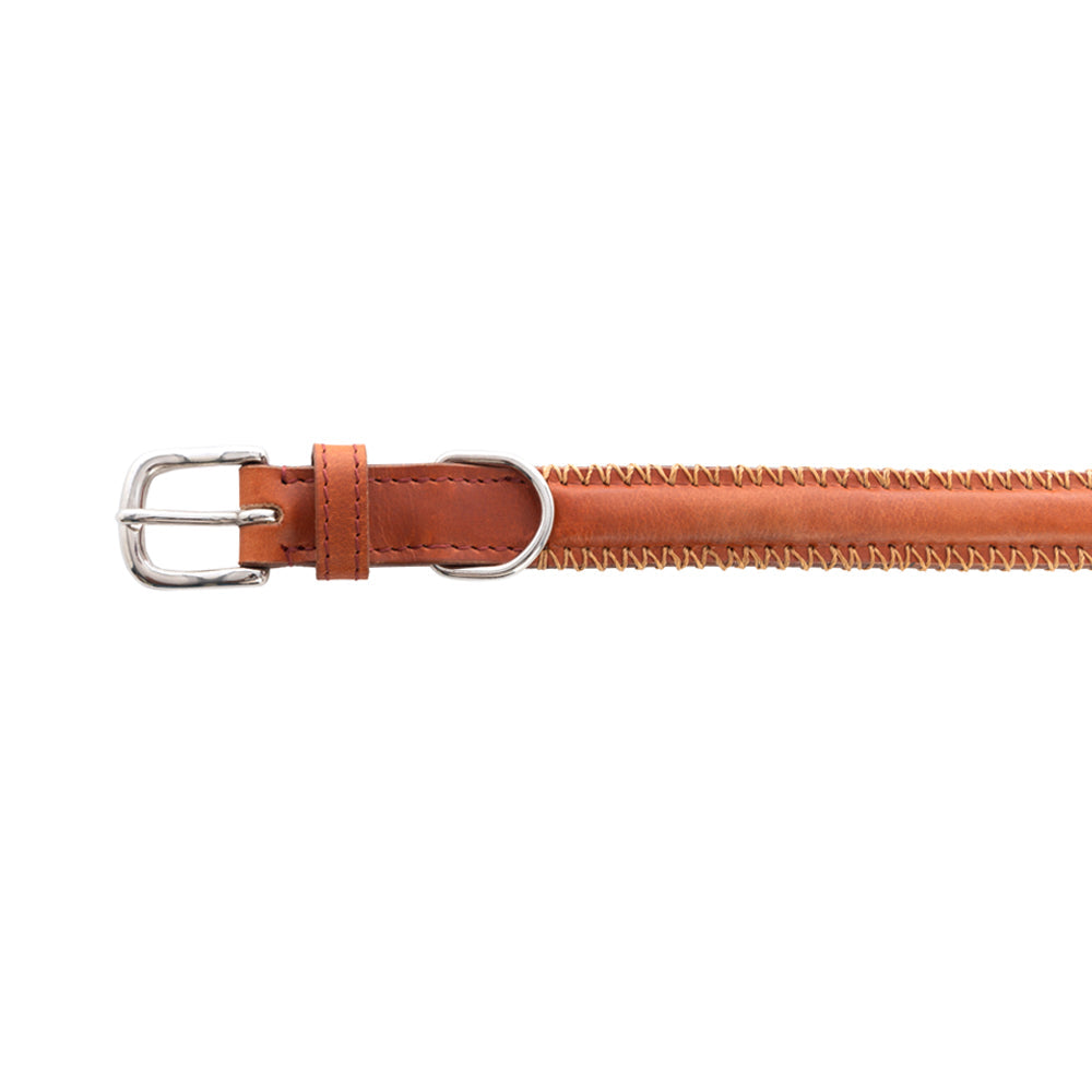 Collier pour chien Rio Correr couleur Caramel