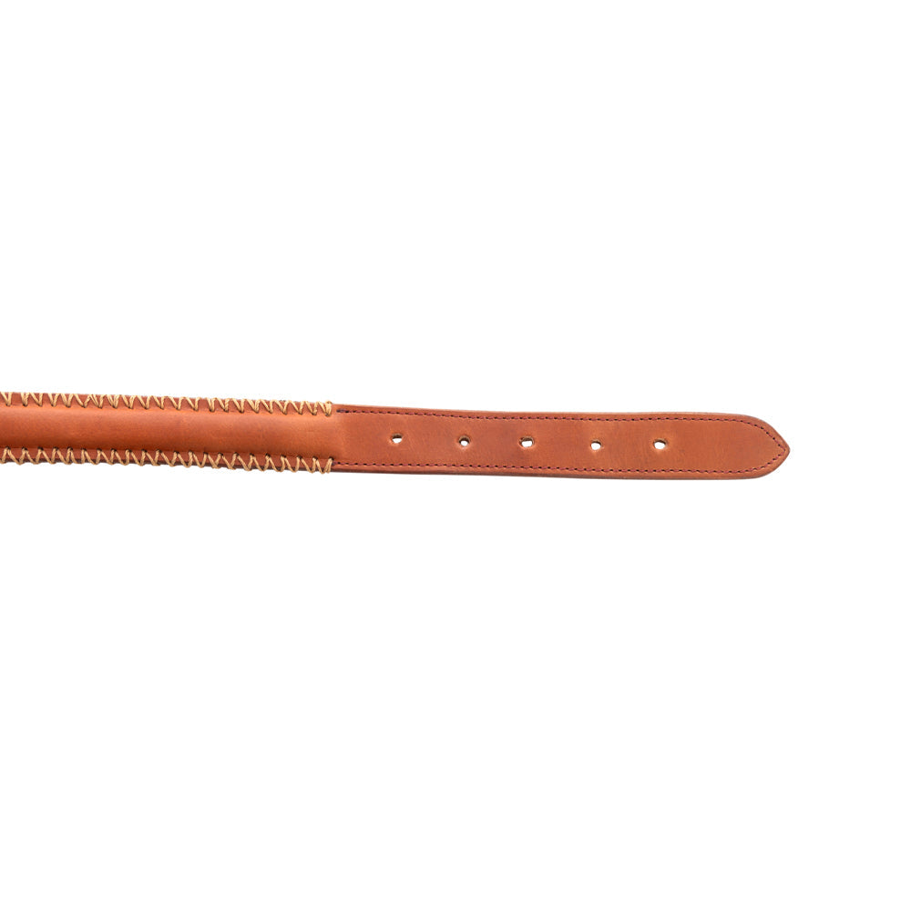 Collier pour chien Rio Correr couleur Caramel