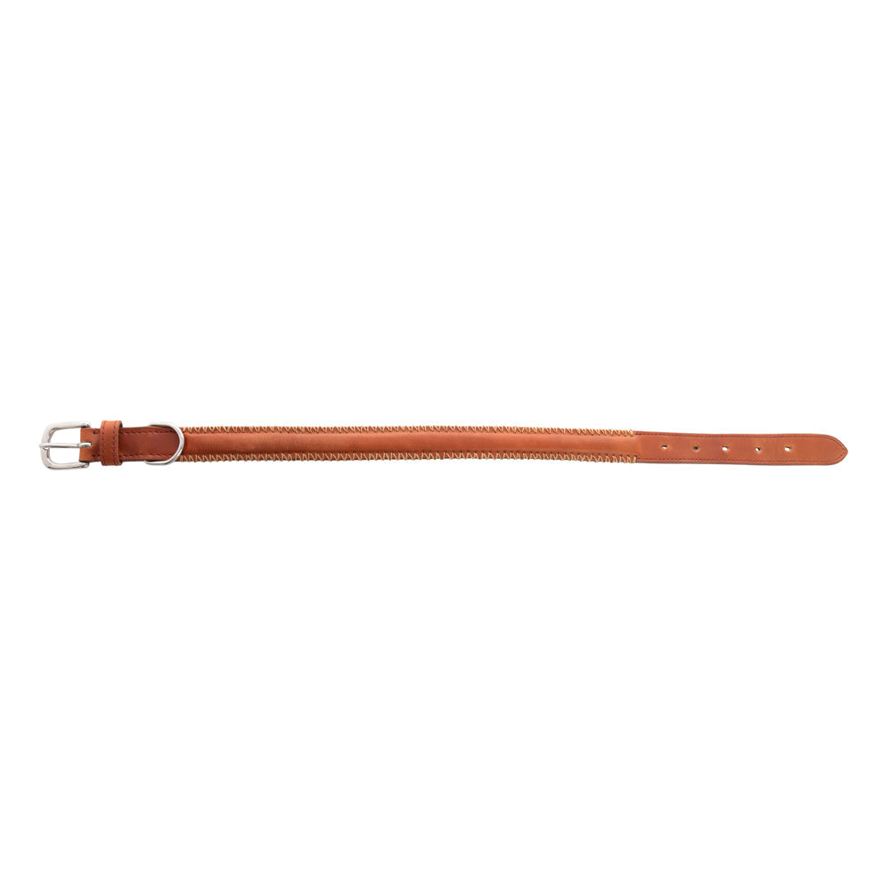 Collier pour chien Rio Correr couleur Caramel