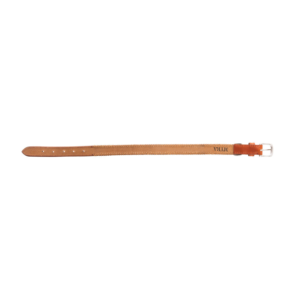 Collier pour chien Rio Correr couleur Caramel