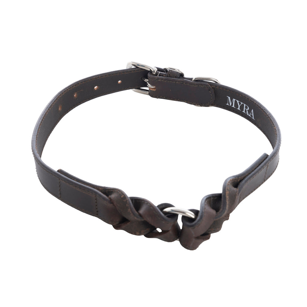 Collier Topside pour chien en ébène
